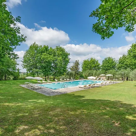 Sangiovese 5 * San Donato in Poggio